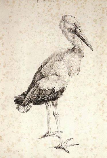 Albrecht Durer The Stork Sweden oil painting art